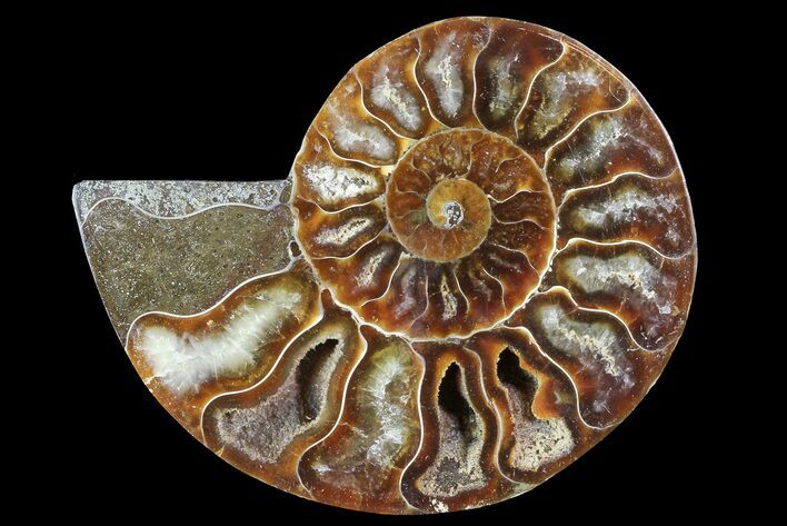 Agatized Ammonite Fossil (Half) - Madagascar #83822